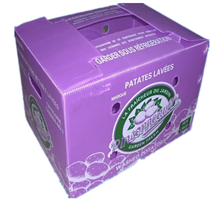 Bao bì trái cây rau quả PP CartonPlast Grapes Bao bì hộp nhựa hộp bông cải xanh