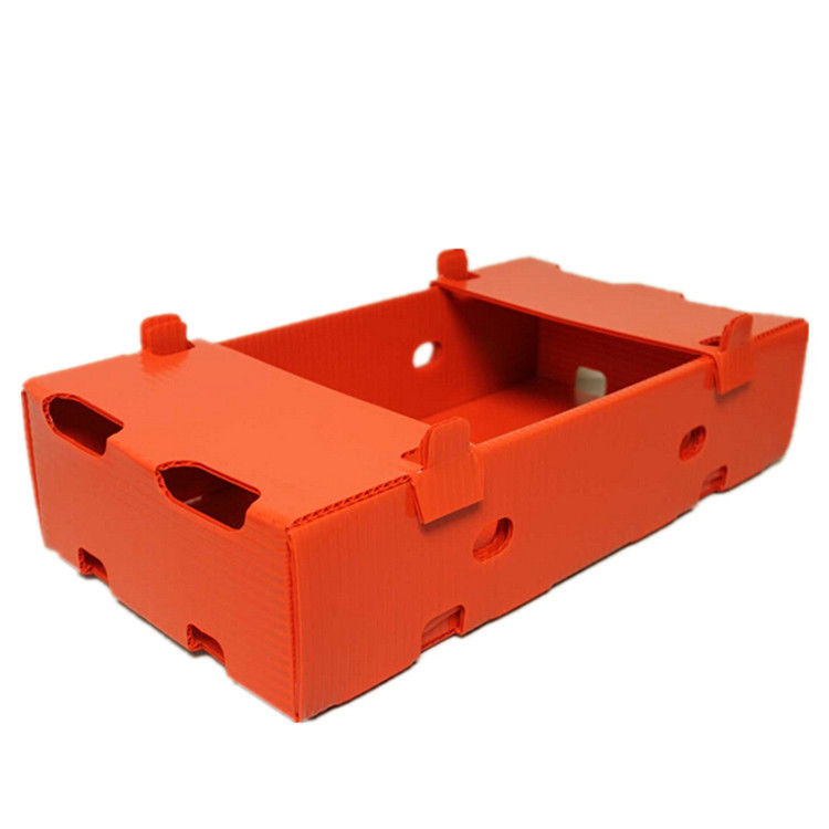 Corruone polypropylene bán buôn chống nước hộp nhựa PP lốp trái cây rau quả hộp nhựa gấp PP