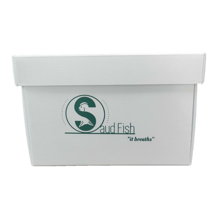 Corruone polypropylene bán buôn chống nước hộp nhựa PP lốp trái cây rau quả hộp nhựa gấp PP