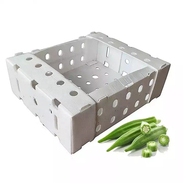 Corruone Trung Quốc Nhà sản xuất PP polypropylene vật liệu Correx Coreflute hộp nhựa lồi lỏng hoa quả rau hộp