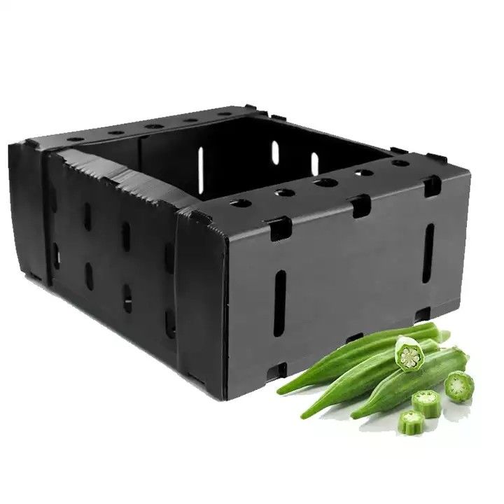 Corruone Trung Quốc Nhà sản xuất PP polypropylene vật liệu Correx Coreflute hộp nhựa lồi lỏng hoa quả rau hộp