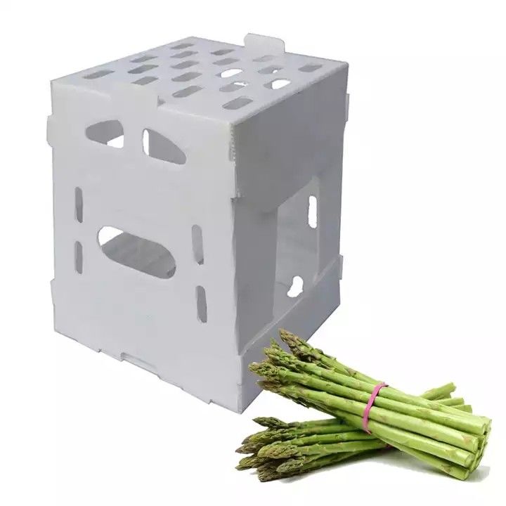 Corruone Trung Quốc Nhà sản xuất PP polypropylene vật liệu Correx Coreflute hộp nhựa lồi lỏng hoa quả rau hộp