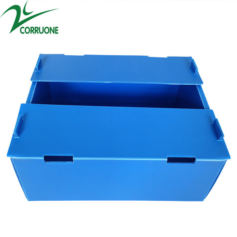 Corruone Hot Sale Đồ đạc polypropylene PP không thấm nước theo yêu cầu vật liệu rau quả đóng gói và giao hàng hộp