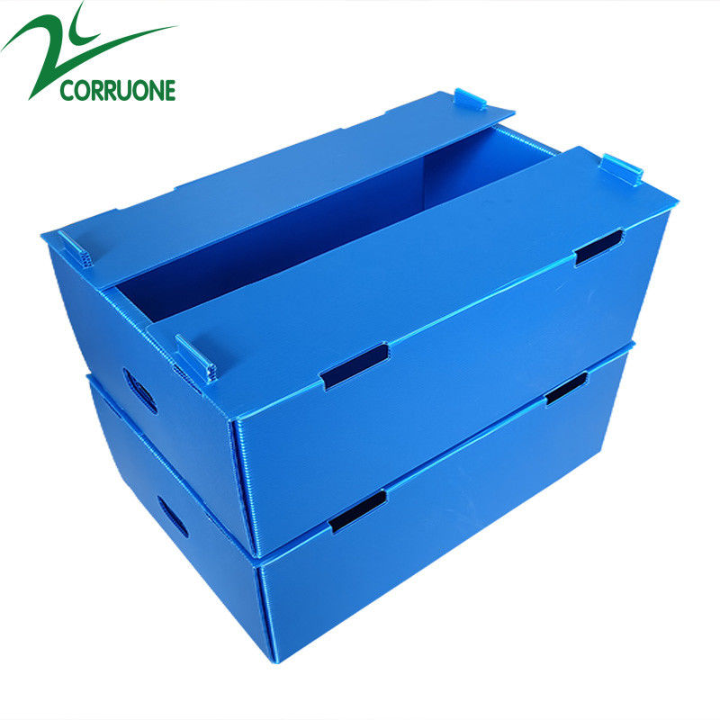 Corruone Hot Sale Đồ đạc polypropylene PP không thấm nước theo yêu cầu vật liệu rau quả đóng gói và giao hàng hộp