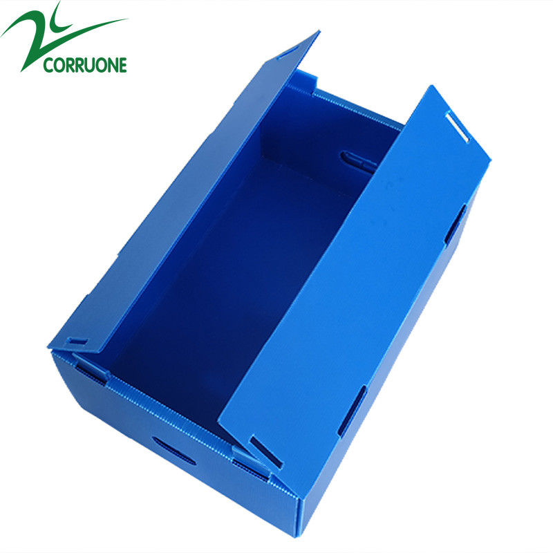 Corruone Hot Sale Đồ đạc polypropylene PP không thấm nước theo yêu cầu vật liệu rau quả đóng gói và giao hàng hộp