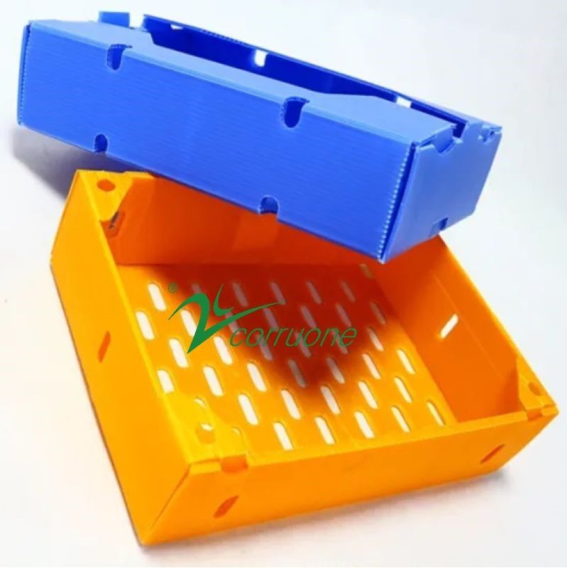 Corruone PP polypropylene correx hộp gấp rau tươi và trái cây pp hộp tấm nhựa lợp