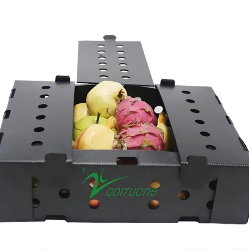 Corruone PP polypropylene correx hộp gấp rau tươi và trái cây pp hộp tấm nhựa lợp