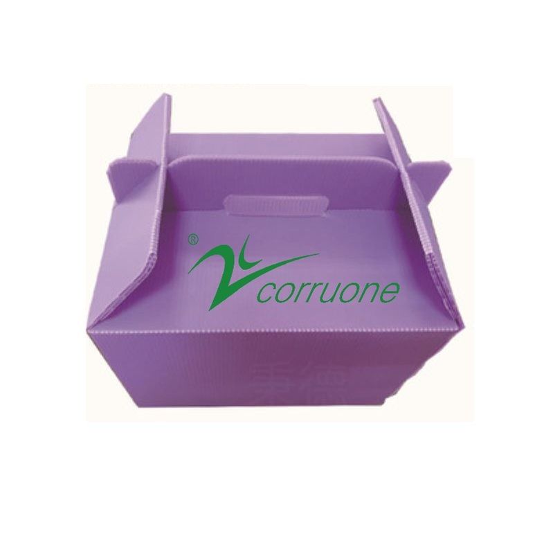Corruone PP polypropylene correx hộp gấp rau tươi và trái cây pp hộp tấm nhựa lợp
