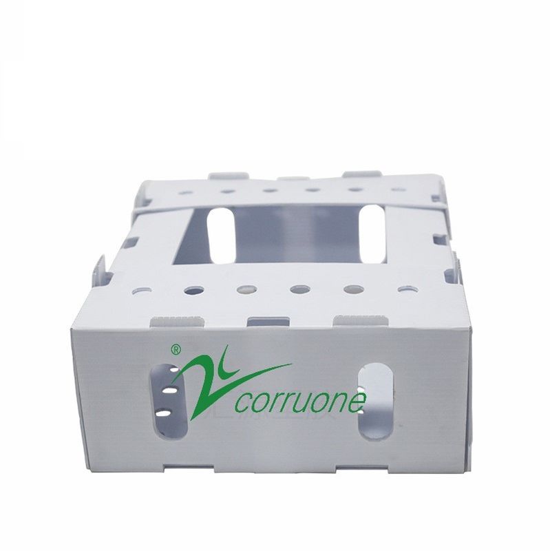 Corruone PP polypropylene correx hộp gấp rau tươi và trái cây pp hộp tấm nhựa lợp