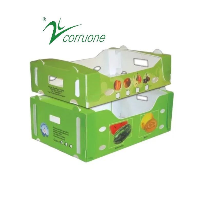 Corruone PP polypropylene danpla hộp nhựa Correx tấm bảo vệ polyflute tấm nhựa lông bao bì