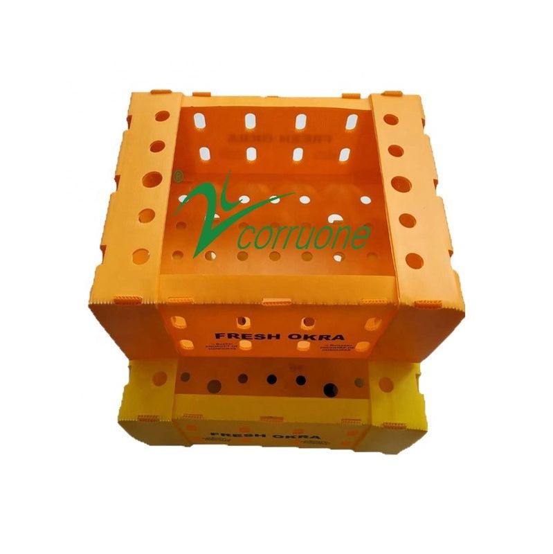 Corruone PP polypropylene danpla hộp nhựa Correx tấm bảo vệ polyflute tấm nhựa lông bao bì