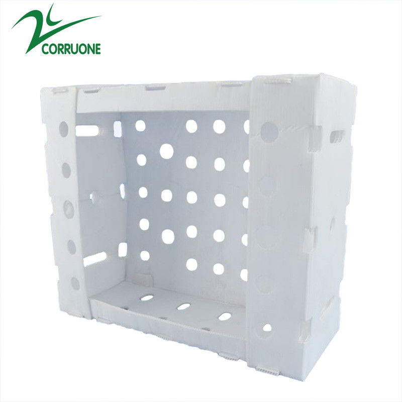Hộp giao hải sản Corflute PP Hộp lưu trữ Coroplast màu xanh