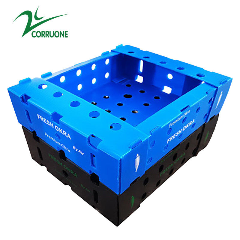 Hộp giao hải sản Corflute PP Hộp lưu trữ Coroplast màu xanh