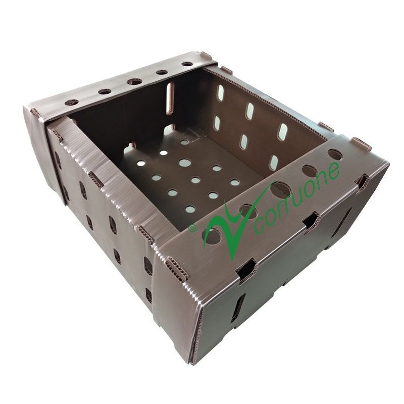 Hộp giao hải sản Corflute PP Hộp lưu trữ Coroplast màu xanh