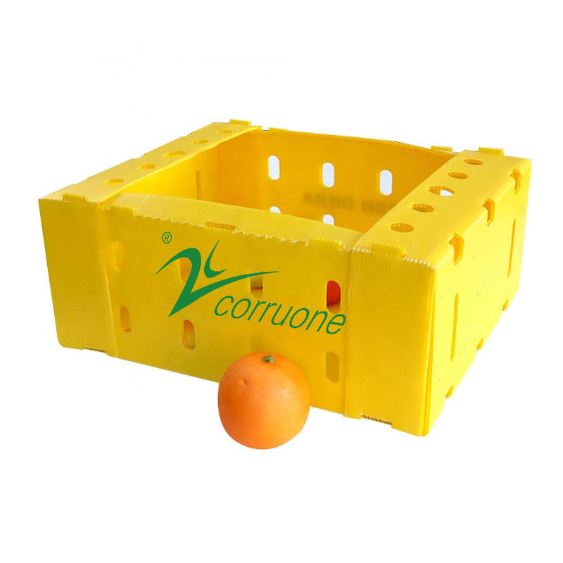 Hộp giao hải sản Corflute PP Hộp lưu trữ Coroplast màu xanh