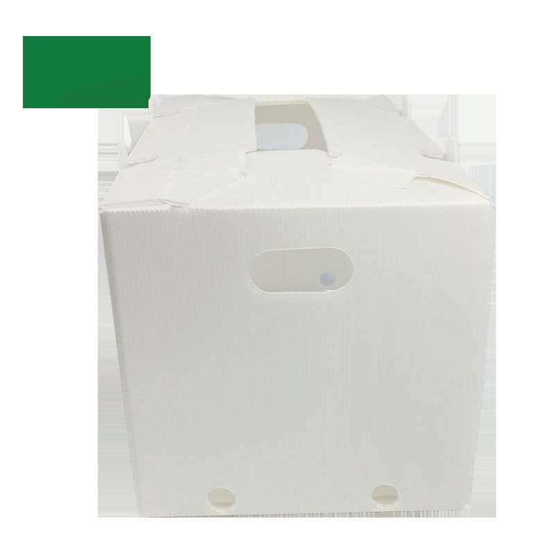 Hộp trái cây ngô ngọt Hộp sóng chuối Hộp Correx