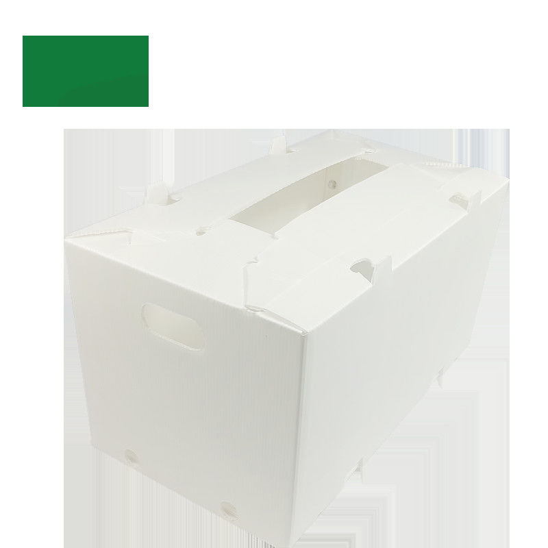 Hộp nhựa sóng có thể gập lại Coroplast Correx Correx 2mm-11mm