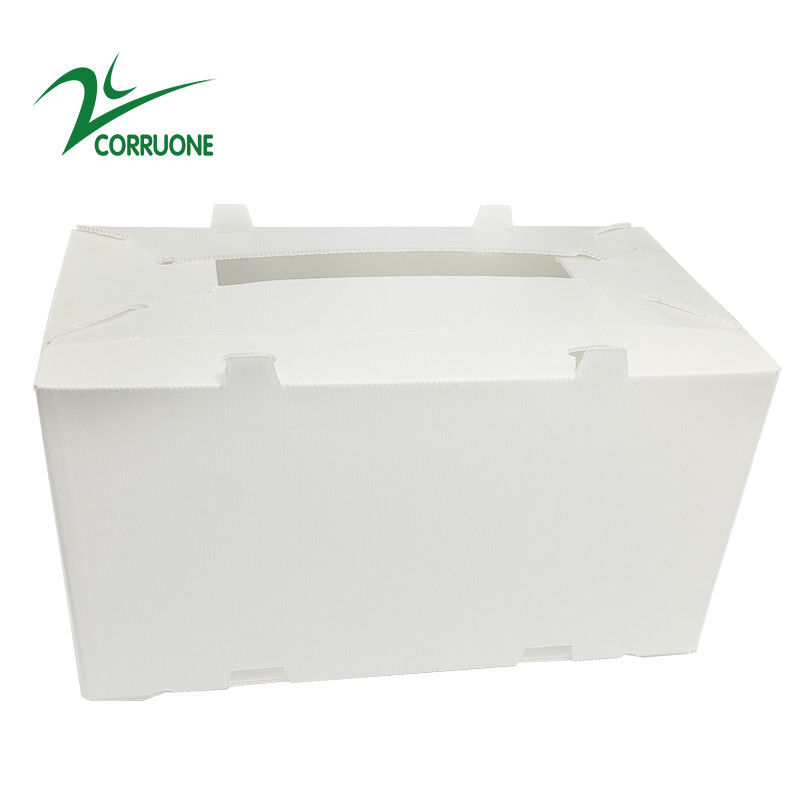 Hộp nhựa sóng có thể gập lại Coroplast Correx Correx 2mm-11mm