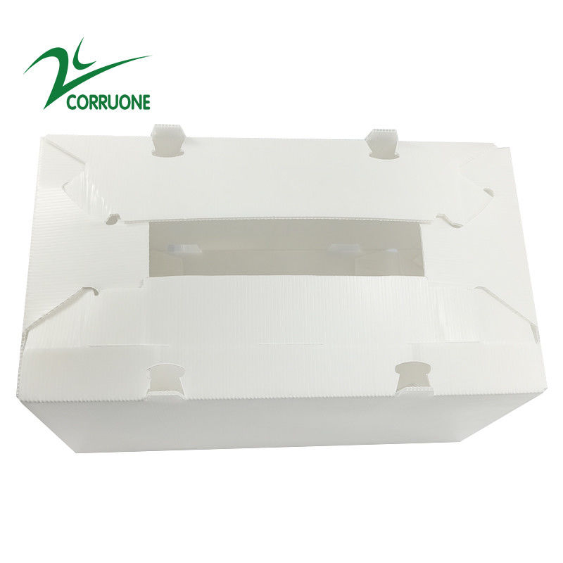 Hộp nhựa sóng có thể gập lại Coroplast Correx Correx 2mm-11mm