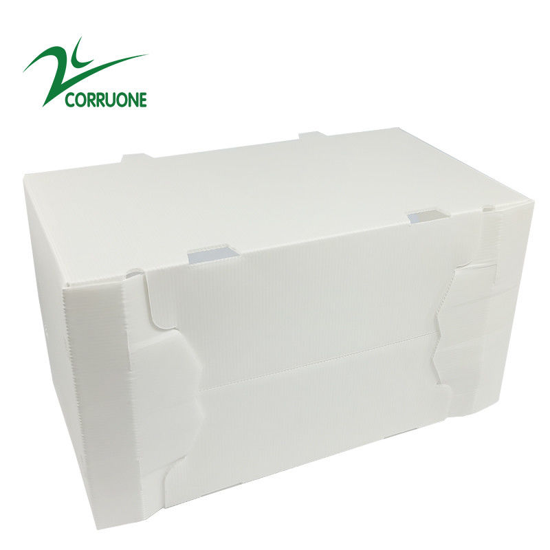 Hộp nhựa sóng có thể gập lại Coroplast Correx Correx 2mm-11mm