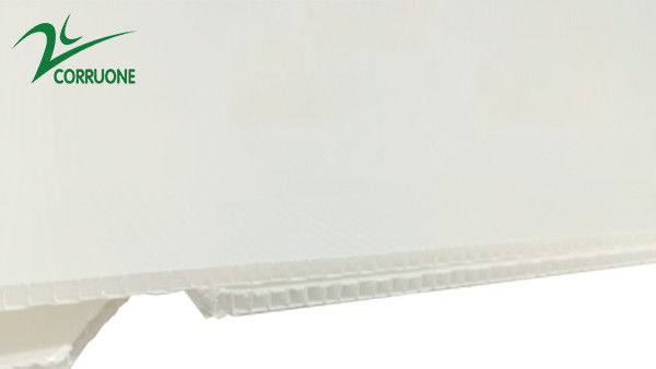 Hộp nhựa sóng có thể gập lại Coroplast Correx Correx 2mm-11mm