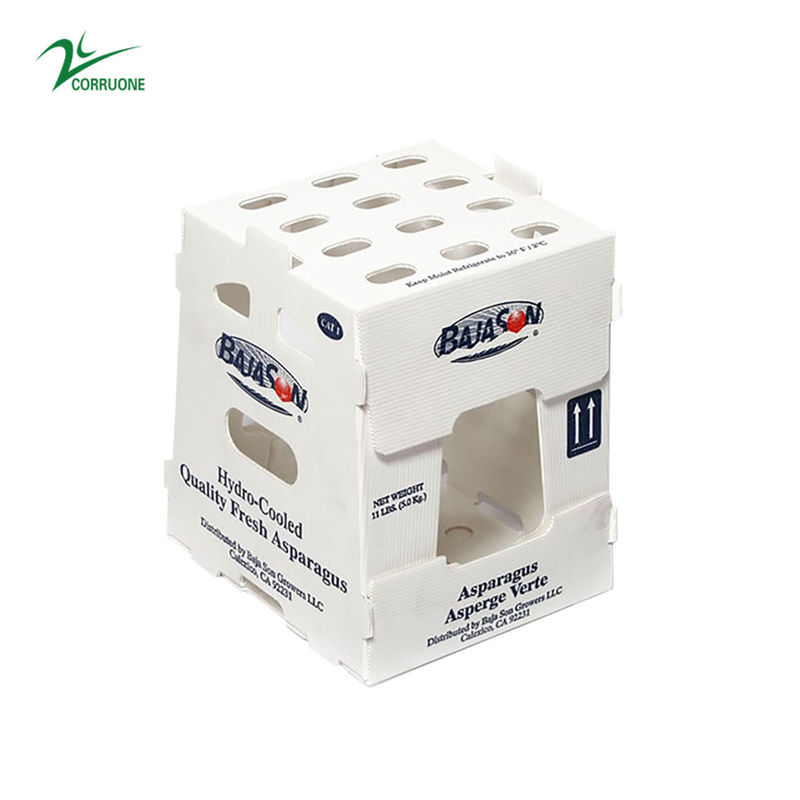 Corruone PP Correx trái cây hải sản rau quả Cartonplast nhựa lợp polypropylene hộp