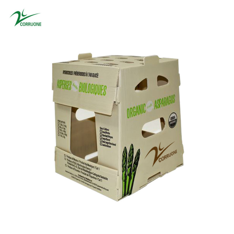 Corruone PP Correx trái cây hải sản rau quả Cartonplast nhựa lợp polypropylene hộp