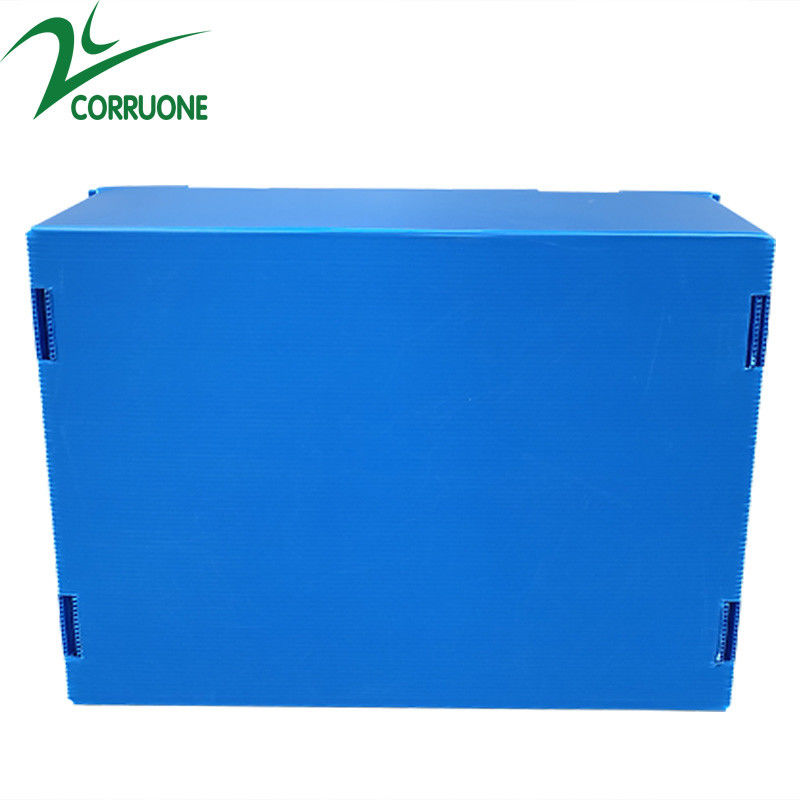 Bán buôn Tái sử dụng có thể xếp chồng lên nhau Pp Bao bì nhựa Hộp trái cây và rau quả