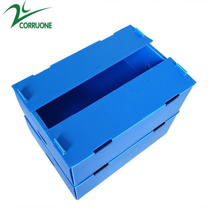 Bán buôn Tái sử dụng có thể xếp chồng lên nhau Pp Bao bì nhựa Hộp trái cây và rau quả