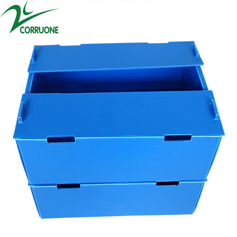 Bán buôn Tái sử dụng có thể xếp chồng lên nhau Pp Bao bì nhựa Hộp trái cây và rau quả