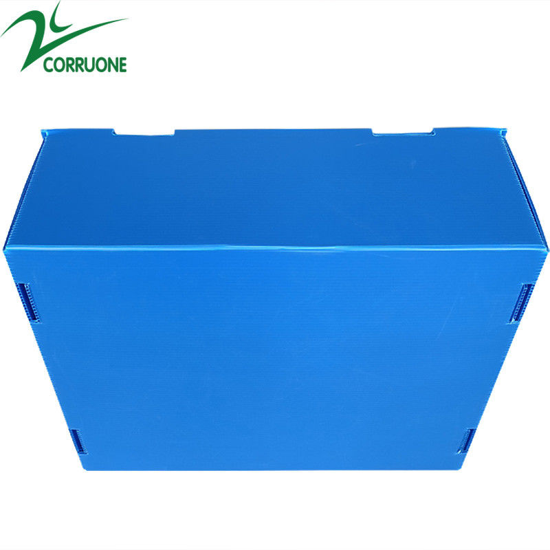 Bán buôn Tái sử dụng có thể xếp chồng lên nhau Pp Bao bì nhựa Hộp trái cây và rau quả