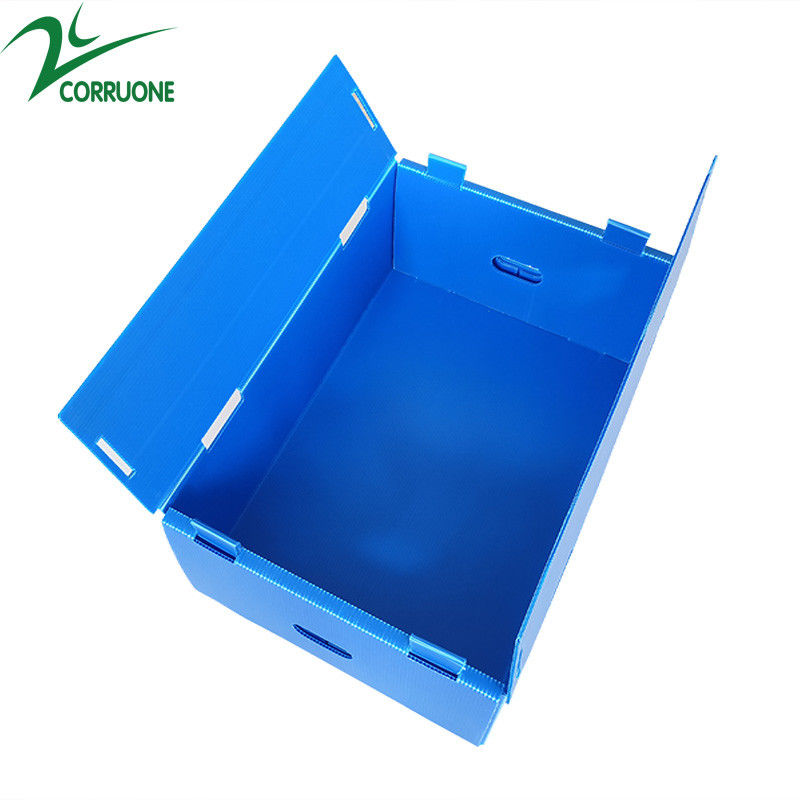 Bán buôn Tái sử dụng có thể xếp chồng lên nhau Pp Bao bì nhựa Hộp trái cây và rau quả