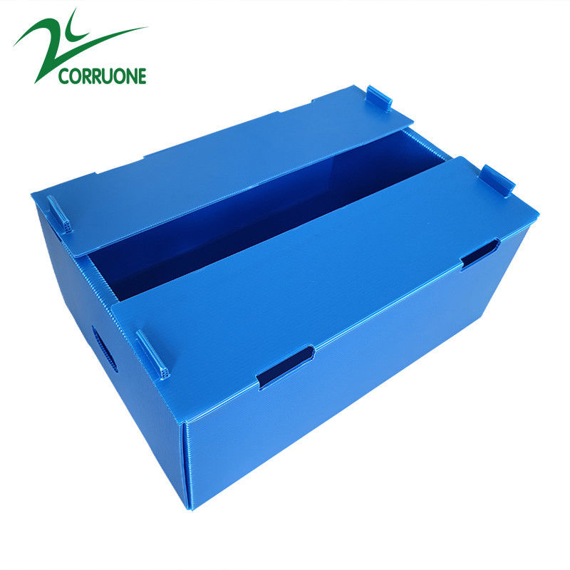 Bán buôn có thể tái sử dụng có thể xếp chồng lên nhau Pp rỗng Tấm nhựa Corflute Bao bì Hộp trái cây và rau quả