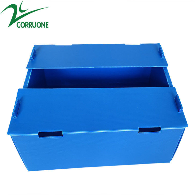 Bán buôn có thể tái sử dụng có thể xếp chồng lên nhau Pp rỗng Tấm nhựa Corflute Bao bì Hộp trái cây và rau quả