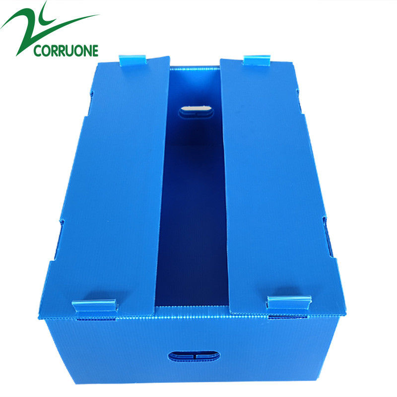 Bán buôn có thể tái sử dụng có thể xếp chồng lên nhau Pp rỗng Tấm nhựa Corflute Bao bì Hộp trái cây và rau quả