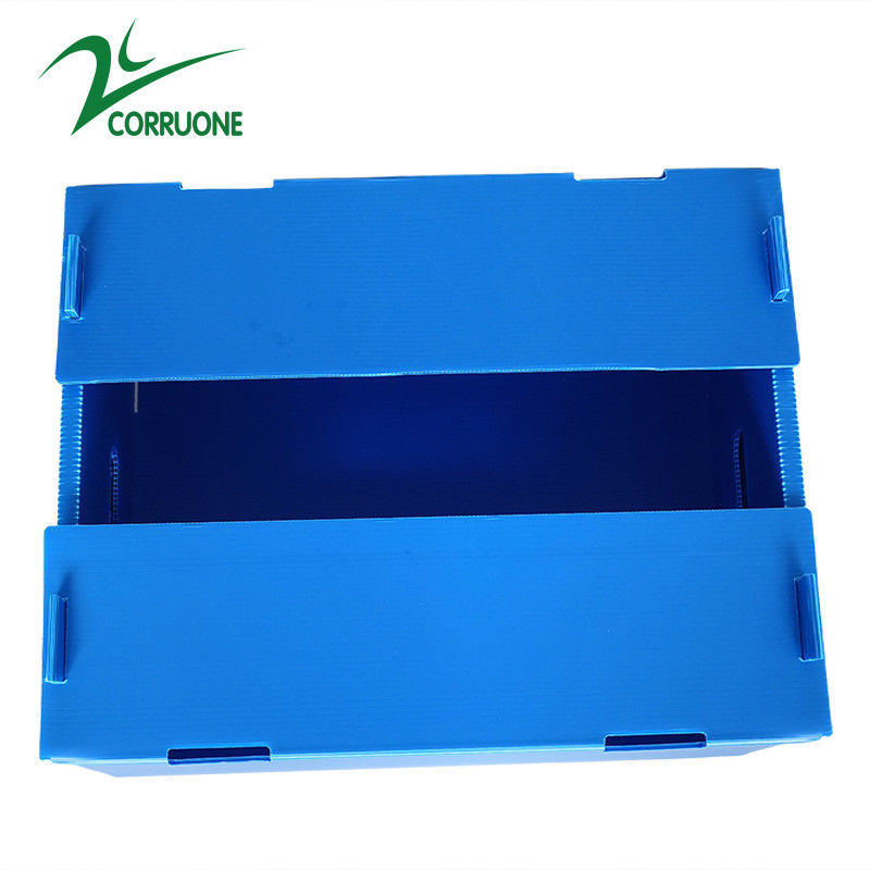 Bán buôn có thể tái sử dụng có thể xếp chồng lên nhau Pp rỗng Tấm nhựa Corflute Bao bì Hộp trái cây và rau quả