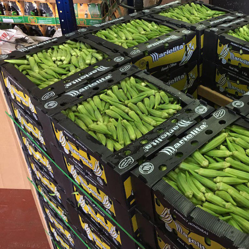 Corflute Okra Fruit Hộp sóng PP Vỏ nhựa