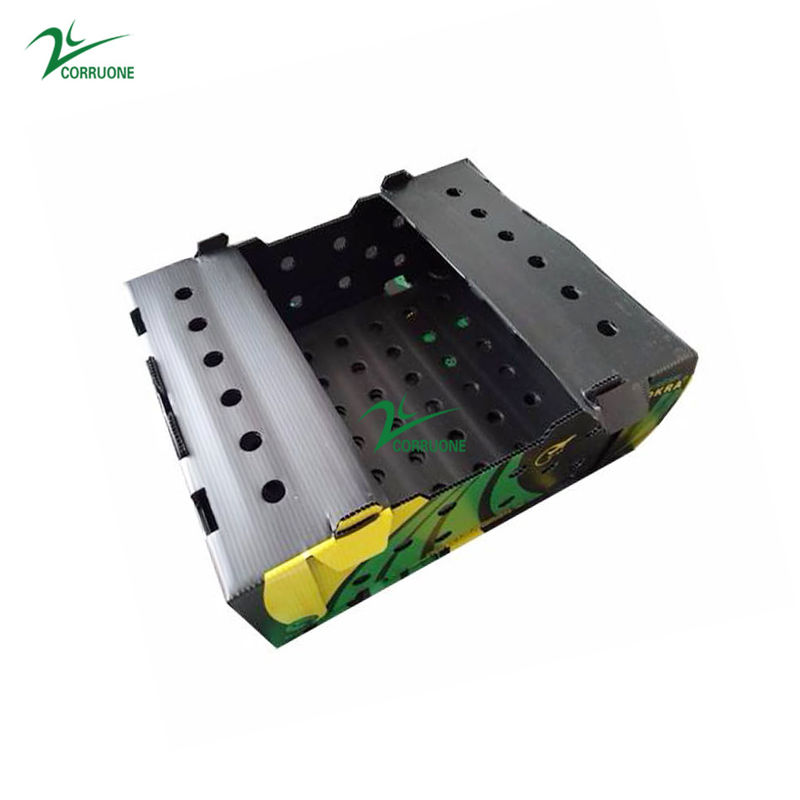 Hộp sóng trái cây màu đen Corriflute Hộp nhựa lưu trữ sóng