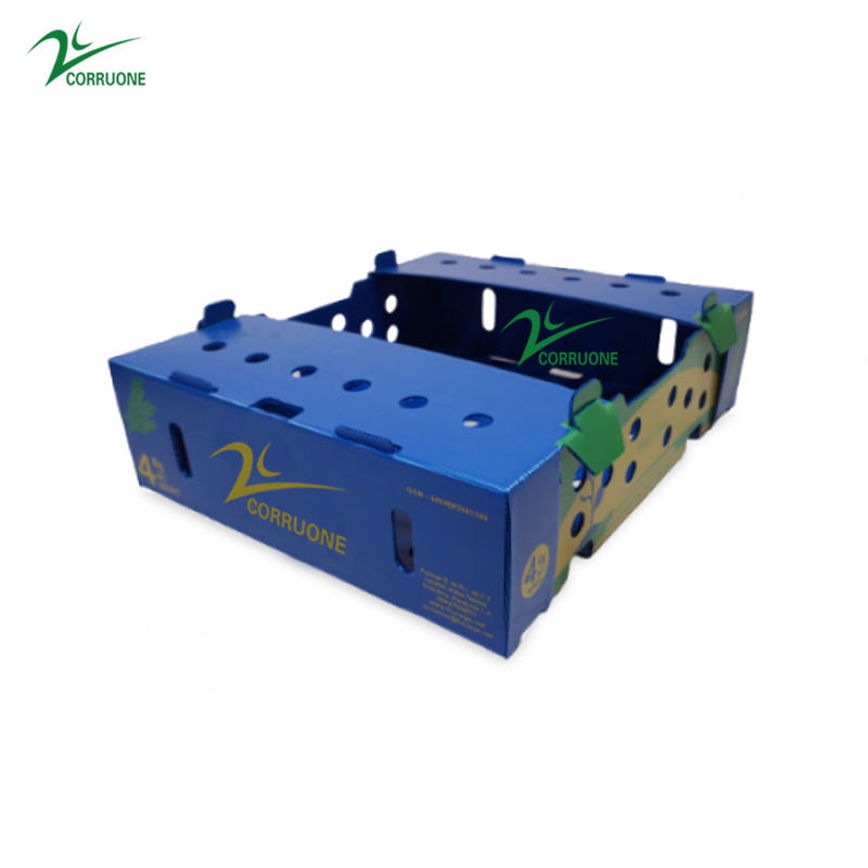 Danpla Corriboard Hộp di chuyển bằng nhựa sóng cho thức ăn thủy sản