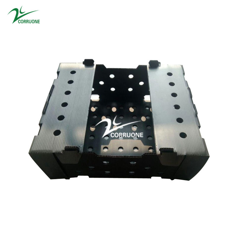 Danpla Corriboard Hộp di chuyển bằng nhựa sóng cho thức ăn thủy sản