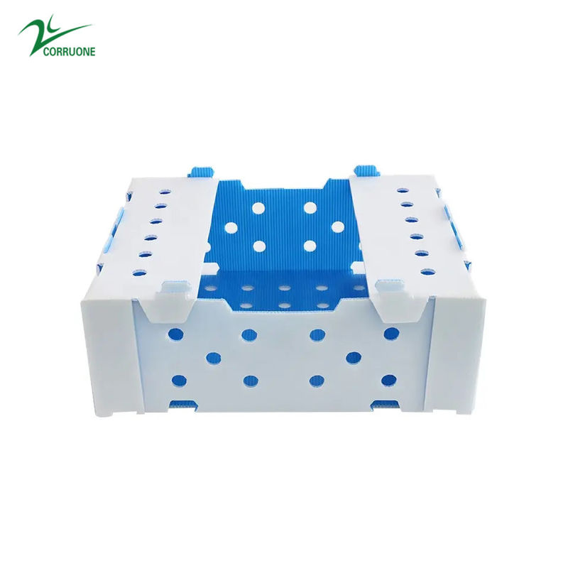 Danpla Corriboard Hộp di chuyển bằng nhựa sóng cho thức ăn thủy sản