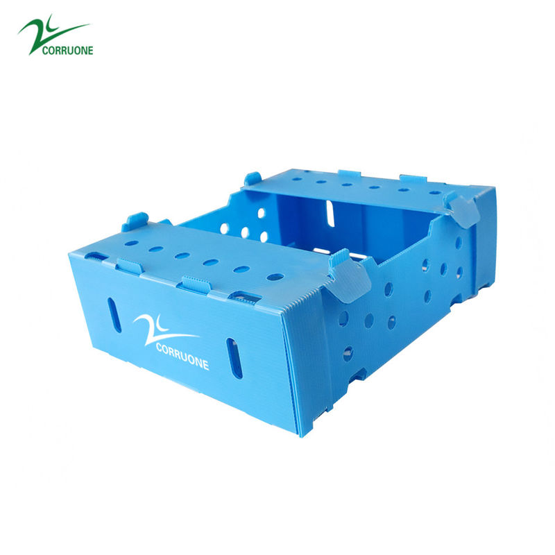 Danpla Corriboard Hộp di chuyển bằng nhựa sóng cho thức ăn thủy sản