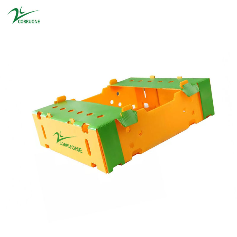 Danpla Corriboard Hộp di chuyển bằng nhựa sóng cho thức ăn thủy sản