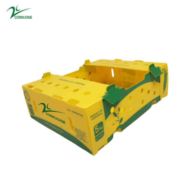 Danpla Corriboard Hộp di chuyển bằng nhựa sóng cho thức ăn thủy sản