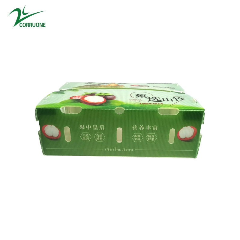 Hộp nhựa đúc lỏng PP cho rau và trái cây hộp Corflute correx ngô bông cải xanh và nông nghiệp hộp đóng gói