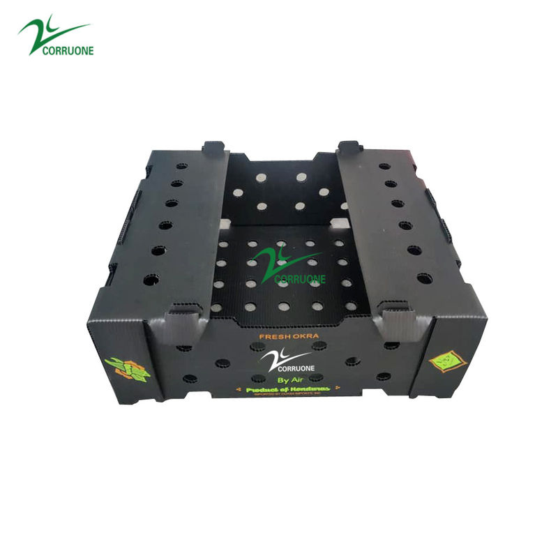 Hộp sóng trái cây Correx Hộp nhựa sóng tùy chỉnh cho ngô