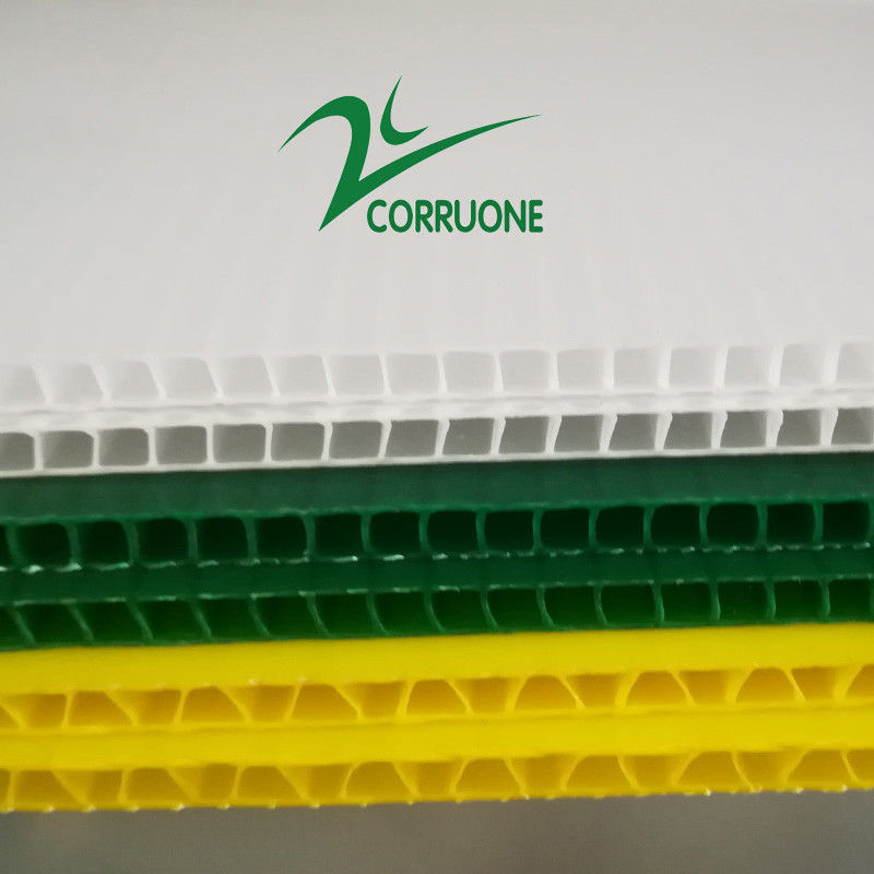 Hộp sóng trái cây Correx Hộp nhựa sóng tùy chỉnh cho ngô