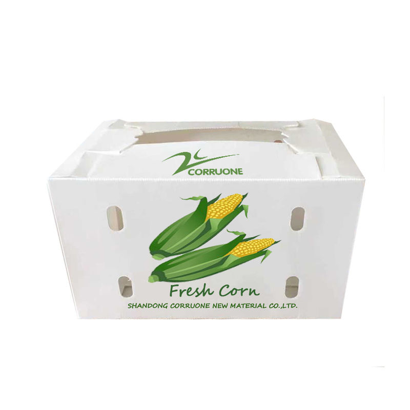 Hộp đục rau để lưu trữ tối ưu bảo vệ sản phẩm của bạn trong quá trình vận chuyển