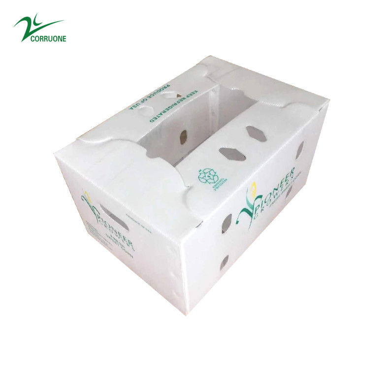 Các hộp lợp rau chống tia cực tím kích thước và thiết kế tùy chỉnh