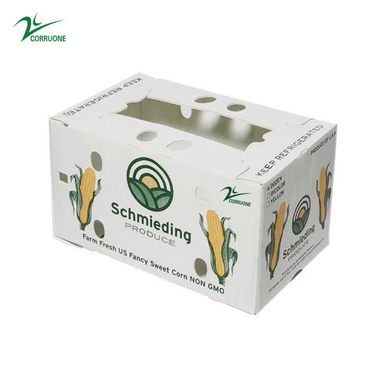Correx Fruit Box PP Box nhựa lồi cho rau và nông nghiệp